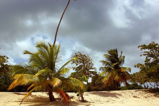 A tropical beach on the verge of a small rain storm