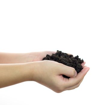 Soil on girl hand over white background