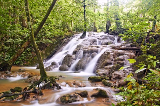 Waterfall in deep forest, South of Thailand 