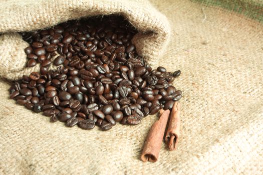 Coffee Beans in a Bag 