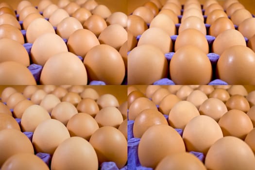 Eggs with orange shell closeup, folded in a blue tray