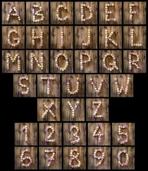 Alphabet letters and numbers made from wine corks in vintage style