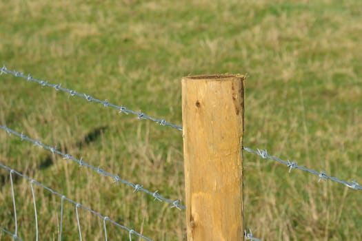 Single barbed wire fence pence