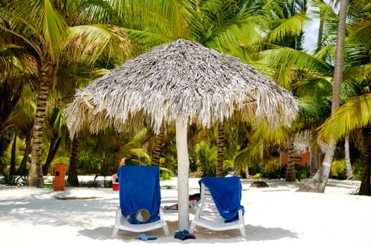 Sunbeds and palms on a very nice beach