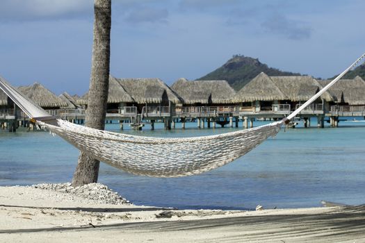 hammock on a beach in french polynesia