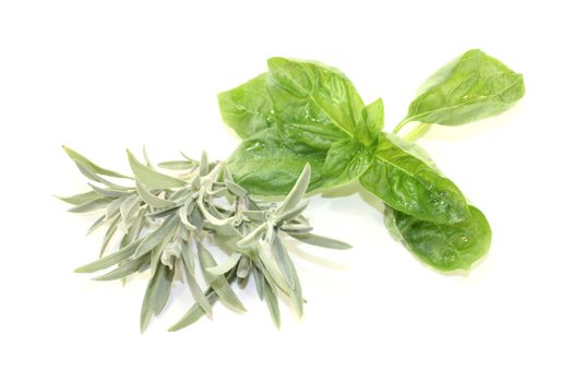 sage and basil leaves on a light background