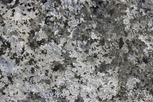 Natural background with a stone and the moss