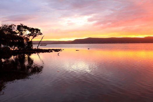 Sunset across the Brisbane Waters with Koolewong in the farthest distance.  From Green Point Australia.