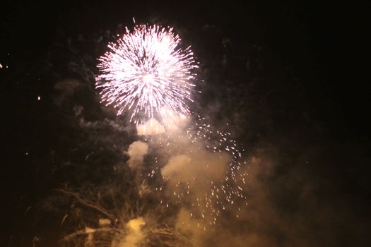 Colorful firework in the black night sky