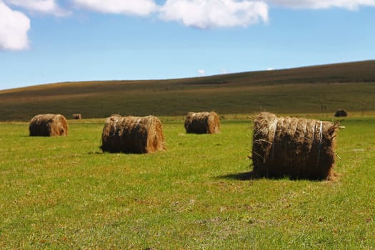 Straw roll bale on the field of farmland