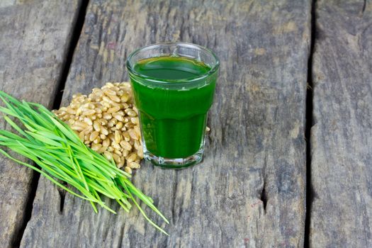 Wheat grass juice with fresh wheat grass and wheat on wood background