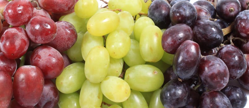 Image of different kinds of grapes like green and red, close-up