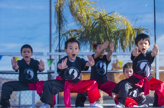 LAS VEGAS - FEB 09 : Chinese martial art performers at the Chinese New Year celebrations held in Las Vegas , Nevada on February 09 2014