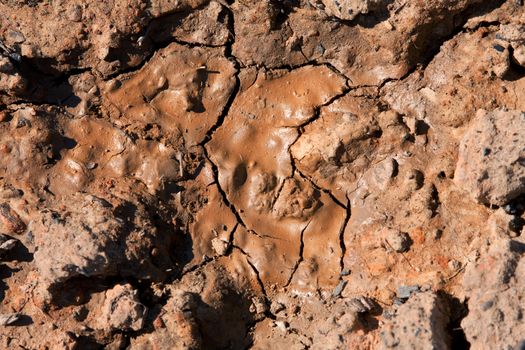 Dried mud at a construction site has a shiny texture that looks like milk chocolate