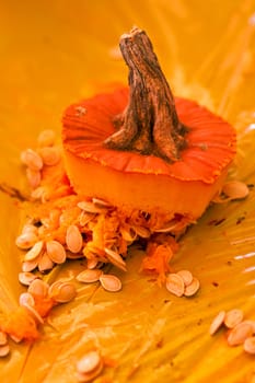 A freshly carved pumpkin top and seeds rest on a table after being carved at a fall festival. 