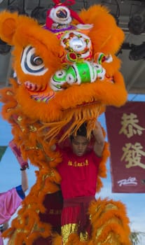 LAS VEGAS - FEB 09 : Lion dance performer during the Chinese New Year celebrations held in Las Vegas , Nevada on February 09 2014