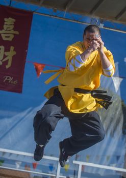 LAS VEGAS - FEB 09 : Chinese martial art performer at the Chinese New Year celebrations held in Las Vegas , Nevada on February 09 2014