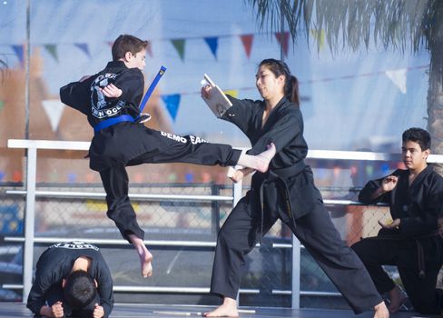 LAS VEGAS - FEB 09 : Chinese martial art performers at the Chinese New Year celebrations held in Las Vegas , Nevada on February 09 2014