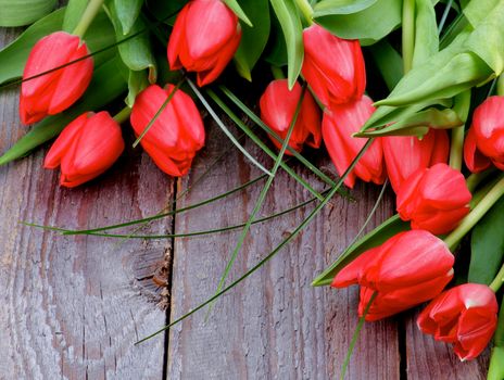 Corner Frame of Beautiful Spring Red Tulips with Green Grass isolated on Rustic Wooden background