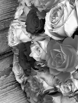 Bunch of Beautiful Roses isolated on Wooden background. Monochrome Toned