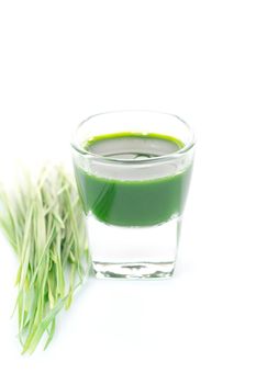 Wheat grass juice on white background