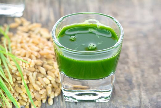 Wheat grass juice with fresh wheat grass and wheat on wood background 