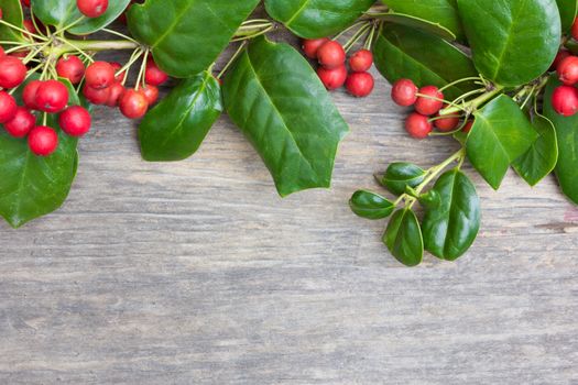 Holly Christmas decoration on old wood background