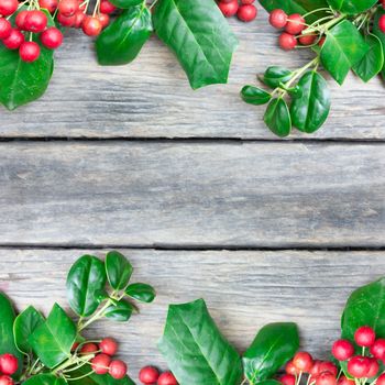 Christmas Border of holly on wood background