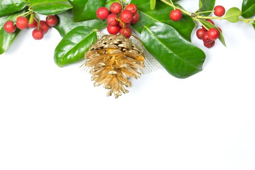 Christmas Border of holly leaves on white background