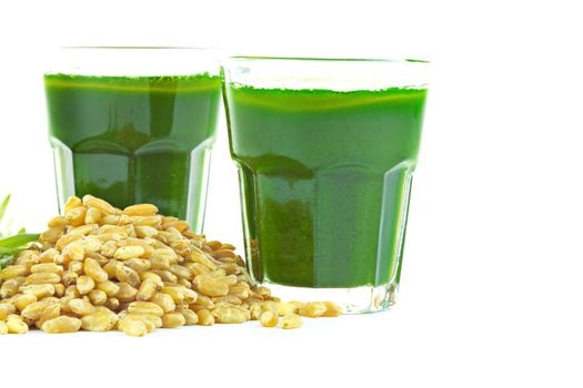 Wheat grass juice with fresh wheat grass and wheat on white background