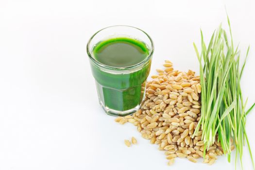 Wheat grass juice with fresh wheat grass and wheat on white background 