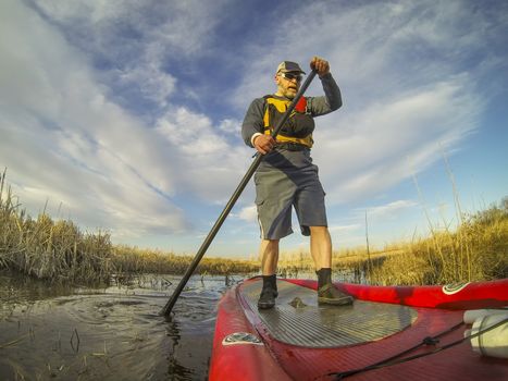 mature male paddler enjoying workout on an inflatable stand up paddleboard (SUP), calm lake in one of nature areas in Fort Collins, Colorado,  distorted wide angle view
