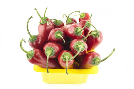 red hot chili pepper on a white background