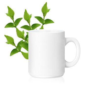 White ceramic mug with Herbs, Herbs Drink, Isolated on a white. (with clipping work path)