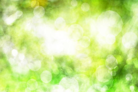 Green defocused abstract background with bokeh circles