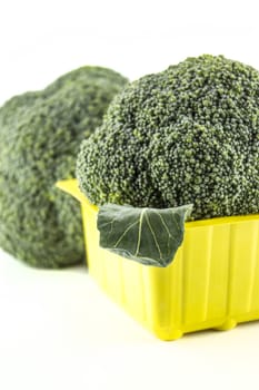 Fresh broccoli on white background.