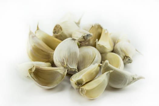 Garlic and garlic bulb on white background