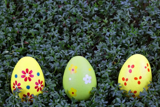 Colourful easter eggs on a green background