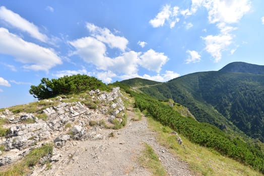 Summer landscape of polish Tatry mountains