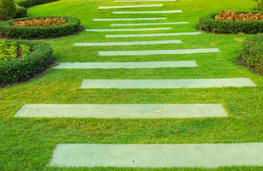 The Pathway in green grass the garden.