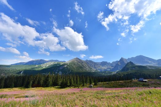 Summer landscape of polish Tatry mountains