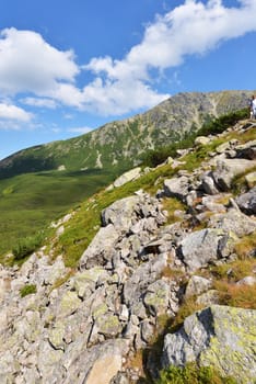Summer landscape of polish Tatry mountains