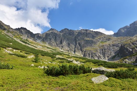 Summer landscape of polish Tatry mountains