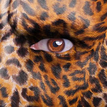 Gepard pattern on face