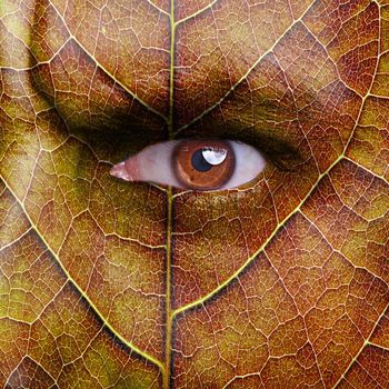 face with autumn leaf texture