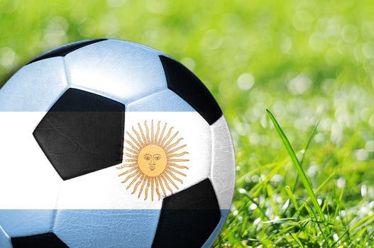 Soccer ball on grass with flag of Argentinal painted on it