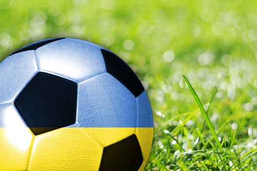 Soccer ball on grass with flag of Ukraine painted on it