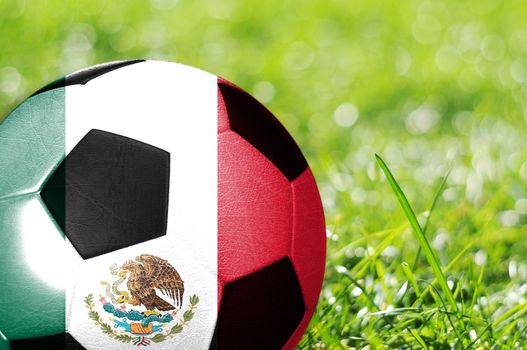 Soccer ball on grass with flag of Mexico painted on it