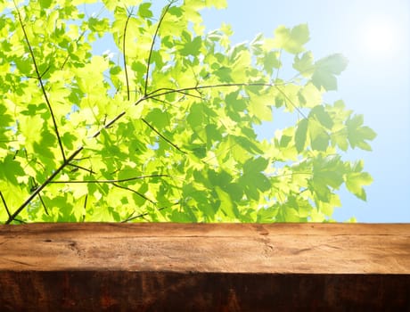 empty wooden table and fresh green leaves - background for product display montages