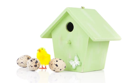 quail eggs with birdhouse, on a white background